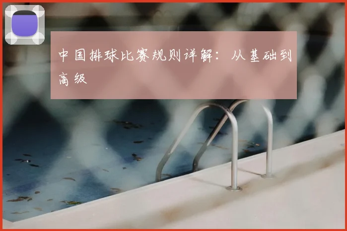中国排球比赛规则详解：从基础到高级