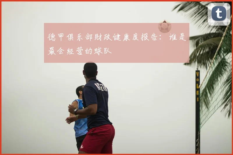 德甲俱乐部财政健康度报告：谁是最会经营的球队