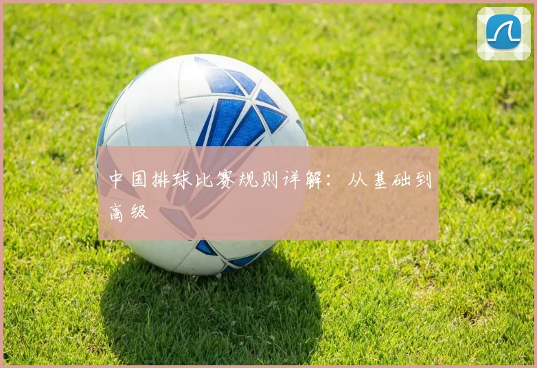 中国排球比赛规则详解：从基础到高级