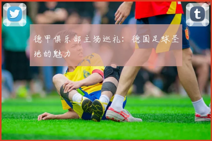 德甲俱乐部主场巡礼:德国足球圣地的魅力